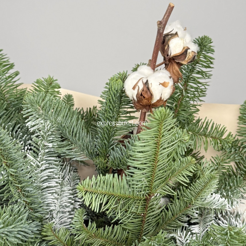 Холодная зима