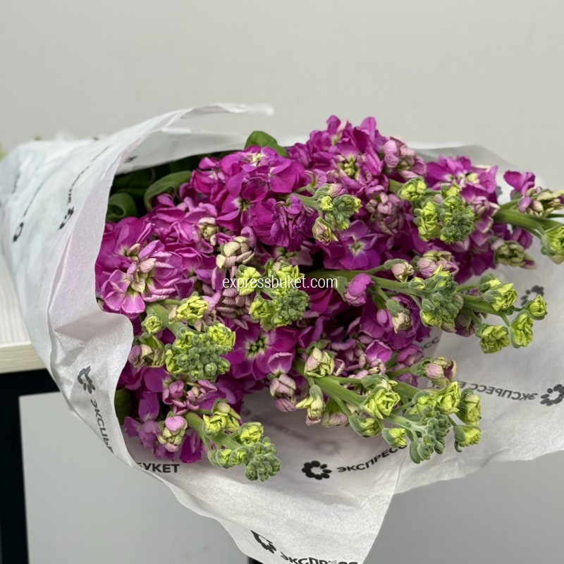 Маттиола, 10 шт