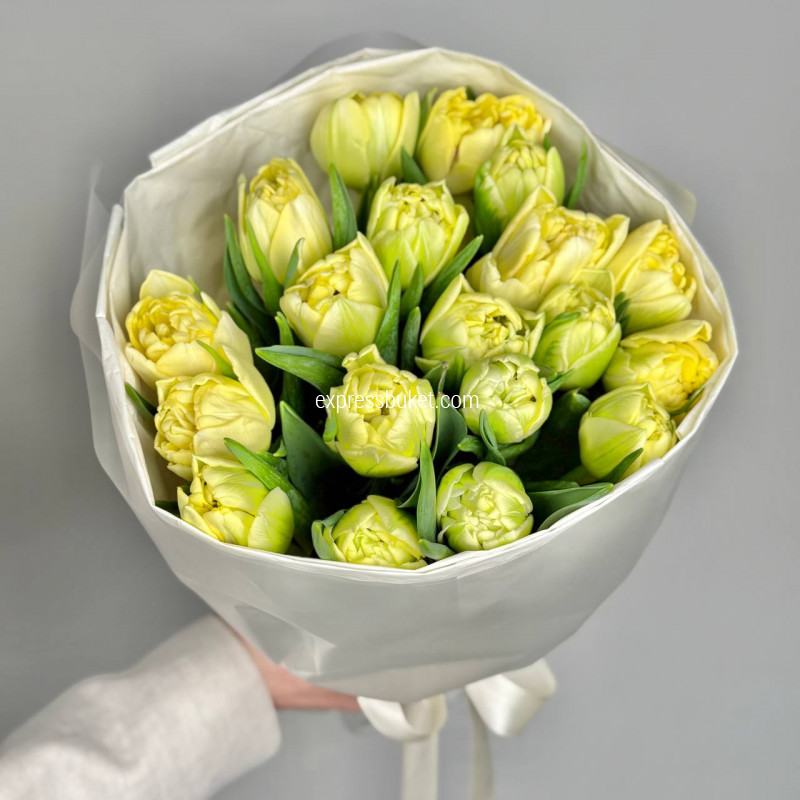 Желтые тюльпаны, 19 шт