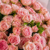 35 кустовых роз