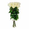 Розы премиум белые (15 шт)